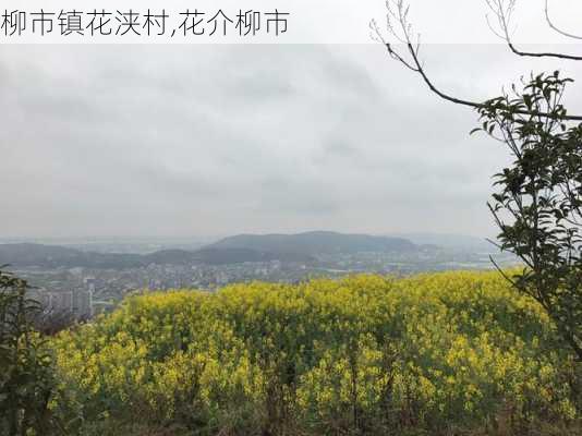 柳市镇花浃村,花介柳市