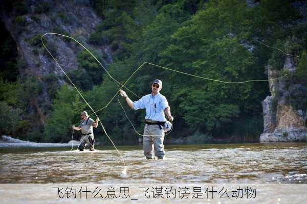 飞钓什么意思_飞谋钓谤是什么动物