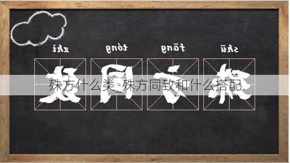 殊方什么类_殊方同致和什么搭配