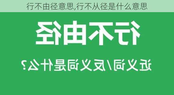 行不由径意思,行不从径是什么意思