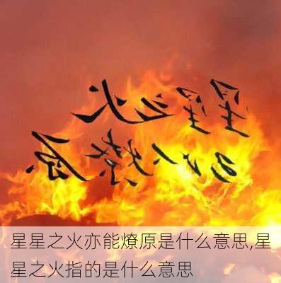 星星之火亦能燎原是什么意思,星星之火指的是什么意思