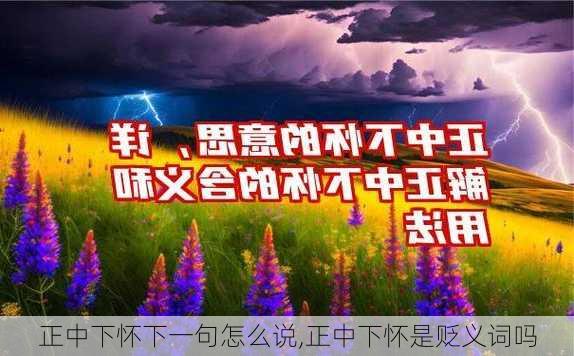 正中下怀下一句怎么说,正中下怀是贬义词吗