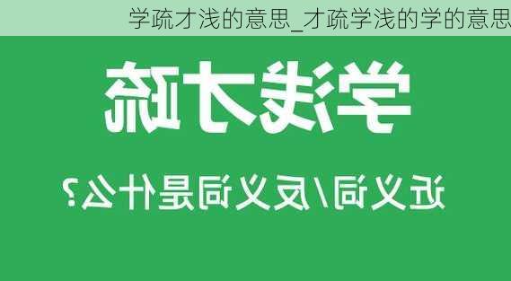 学疏才浅的意思_才疏学浅的学的意思