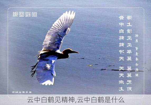 云中白鹤见精神,云中白鹤是什么