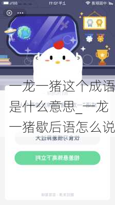 一龙一猪这个成语是什么意思_一龙一猪歇后语怎么说