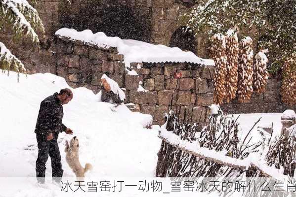 冰天雪窑打一动物_雪窑冰天的解什么生肖