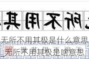 无所不用其极是什么意思_无所不用其极是啥意思