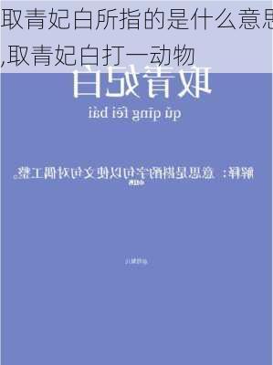 取青妃白所指的是什么意思,取青妃白打一动物