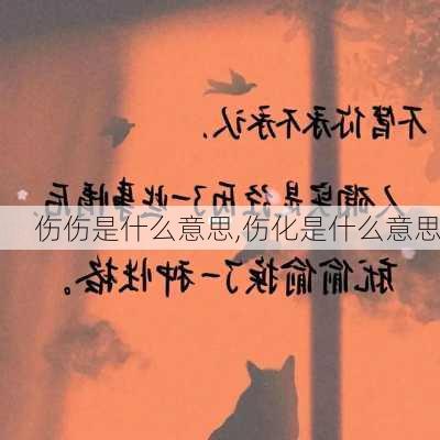 伤伤是什么意思,伤化是什么意思