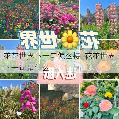 花花世界下一句怎么接_花花世界下一句是什么