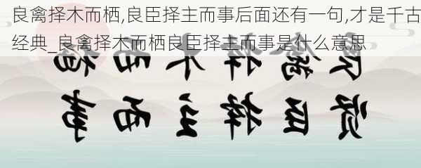 良禽择木而栖,良臣择主而事后面还有一句,才是千古经典_良禽择木而栖良臣择主而事是什么意思