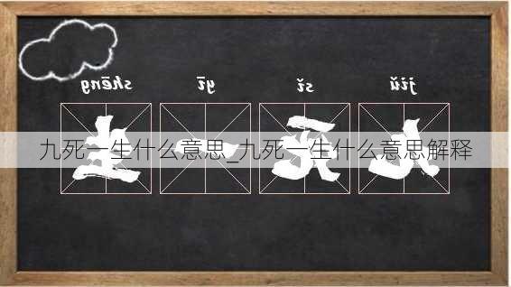 九死一生什么意思_九死一生什么意思解释