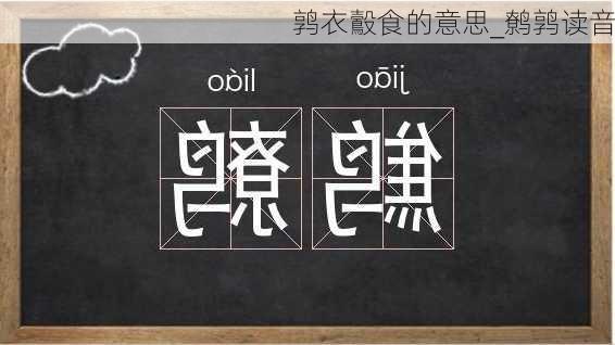 鹑衣鷇食的意思_鹩鹑读音