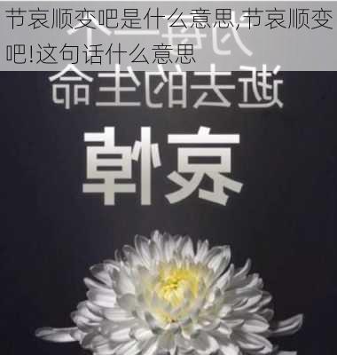 节哀顺变吧是什么意思,节哀顺变吧!这句话什么意思