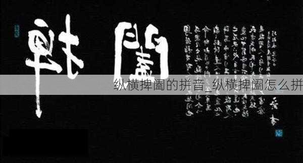 纵横捭阖的拼音_纵横捭阖怎么拼