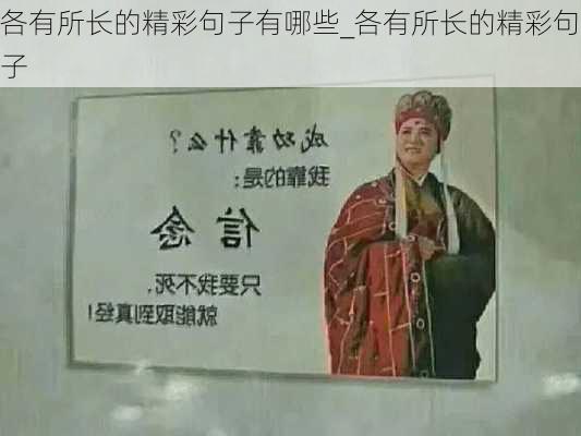 各有所长的精彩句子有哪些_各有所长的精彩句子