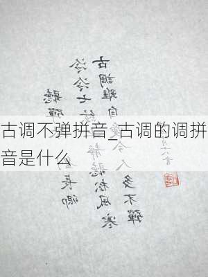 古调不弹拼音_古调的调拼音是什么