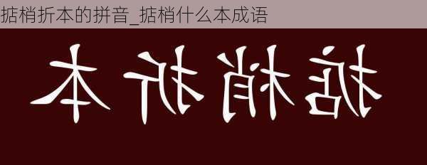 掂梢折本的拼音_掂梢什么本成语