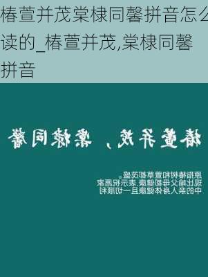 椿萱并茂棠棣同馨拼音怎么读的_椿萱并茂,棠棣同馨拼音