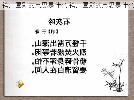 销声匿影的意思是什么,销声匿影的意思是什么