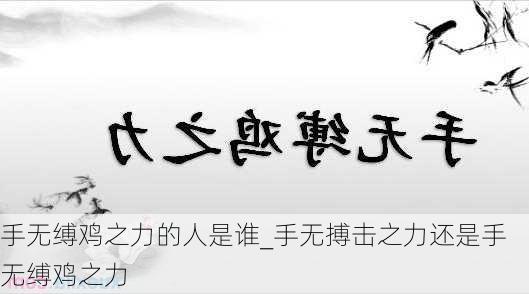 手无缚鸡之力的人是谁_手无搏击之力还是手无缚鸡之力