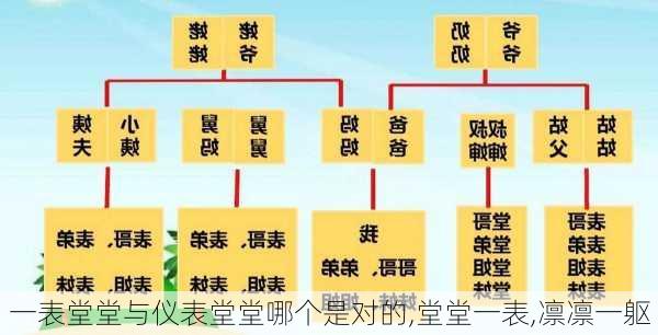 一表堂堂与仪表堂堂哪个是对的,堂堂一表,凛凛一躯