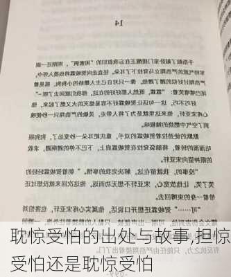 耽惊受怕的出处与故事,担惊受怕还是耽惊受怕