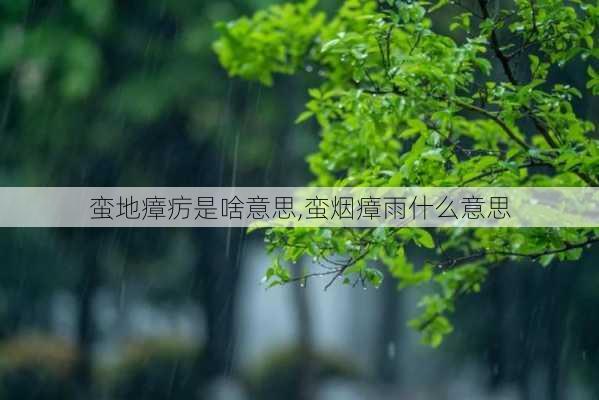 蛮地瘴疠是啥意思,蛮烟瘴雨什么意思