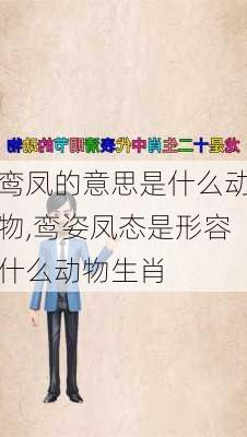 鸾凤的意思是什么动物,鸾姿凤态是形容什么动物生肖