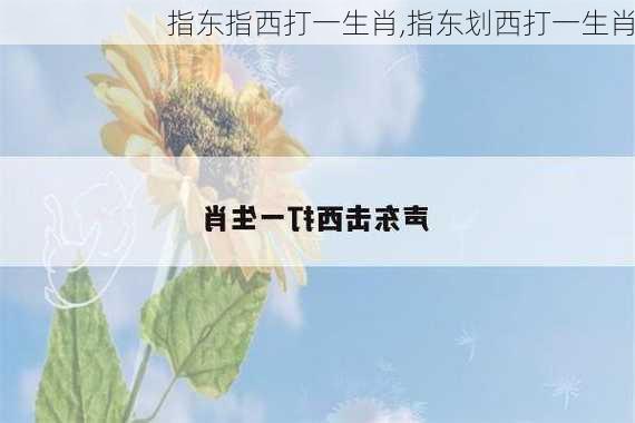 指东指西打一生肖,指东划西打一生肖