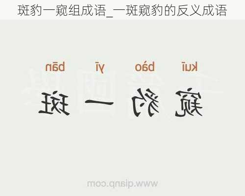 斑豹一窥组成语_一斑窥豹的反义成语