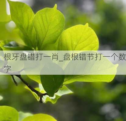 根牙盘错打一肖_盘根错节打一个数字