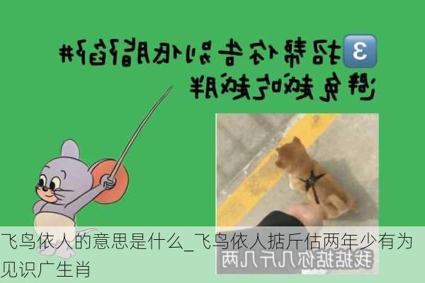 飞鸟依人的意思是什么_飞鸟依人掂斤估两年少有为见识广生肖