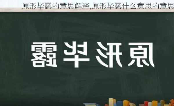 原形毕露的意思解释,原形毕露什么意思的意思