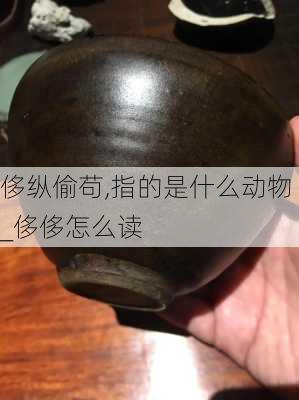 侈纵偷苟,指的是什么动物_侈侈怎么读