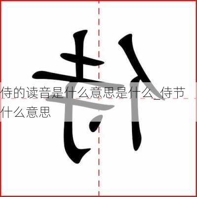 侍的读音是什么意思是什么_侍节什么意思