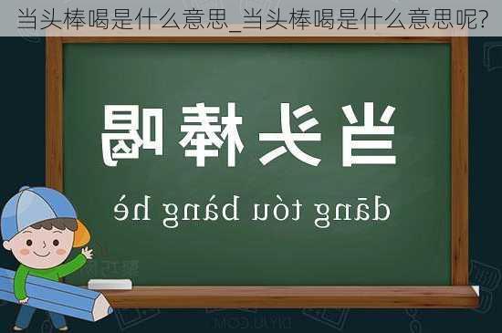 当头棒喝是什么意思_当头棒喝是什么意思呢?