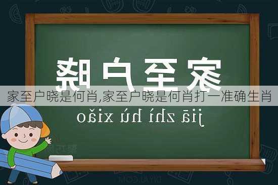 家至户晓是何肖,家至户晓是何肖打一准确生肖