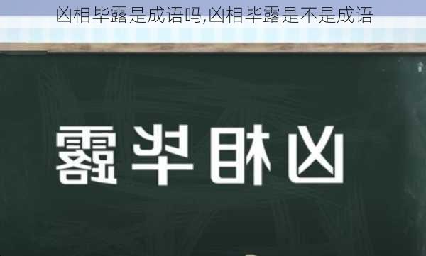 凶相毕露是成语吗,凶相毕露是不是成语