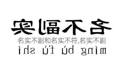 名实不副和名实不符,名实不副