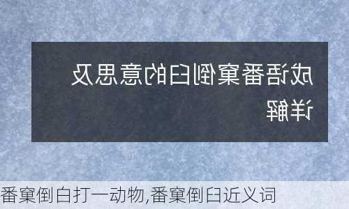 番窠倒白打一动物,番窠倒臼近义词