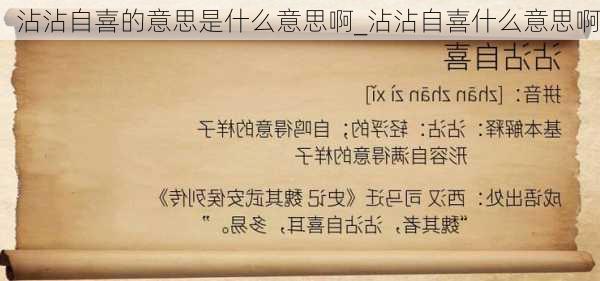 沾沾自喜的意思是什么意思啊_沾沾自喜什么意思啊