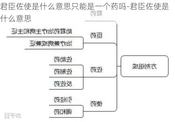 君臣佐使是什么意思只能是一个药吗-君臣佐使是什么意思