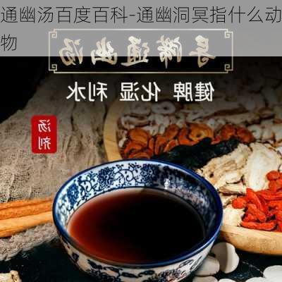 通幽汤百度百科-通幽洞冥指什么动物